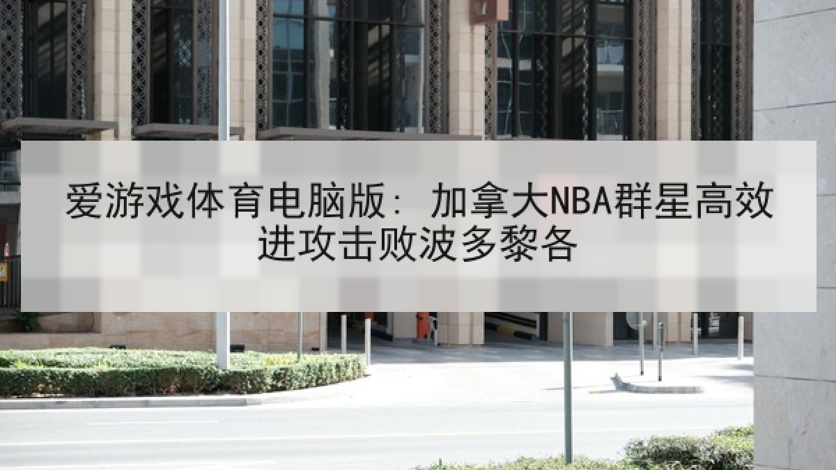 爱游戏体育电脑版: 加拿大NBA群星高效进攻击败波多黎各